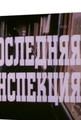 Постер фильма Последняя инспекция (1985)