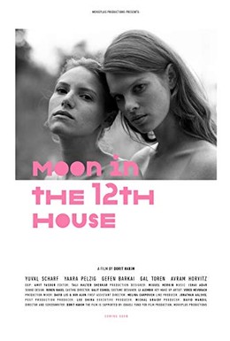 Постер фильма Луна в двенадцатом доме (2015)