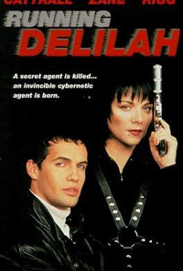 Постер фильма Специальный агент Дилайла (1993)
