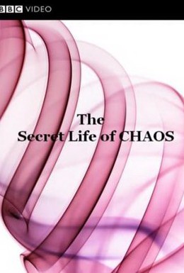 Постер фильма BBC: Тайная жизнь хаоса (2010)