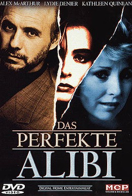 Постер фильма Идеальное алиби (1995)