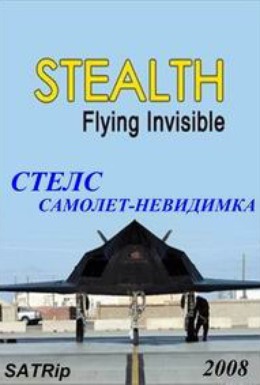 Постер фильма Стелс: Самолет-невидимка (2010)