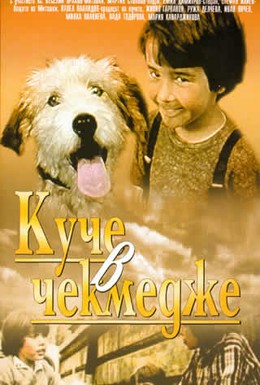 Постер фильма Собака в ящике (1982)