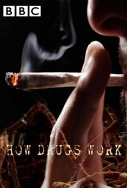 Постер фильма Как действуют наркотики (2011)