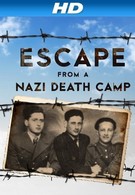 Побег из нацистского лагеря смерти (2014)