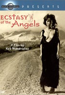Ангелы в экстазе (1972)