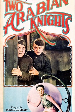 Постер фильма Два аравийских рыцаря (1927)
