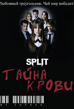 Постер фильма Сплит: Тайна крови (2009)