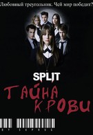 Сплит: Тайна крови (2009)