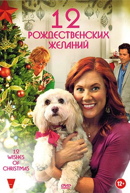 Постер фильма 12 Рождественских желаний (2011)