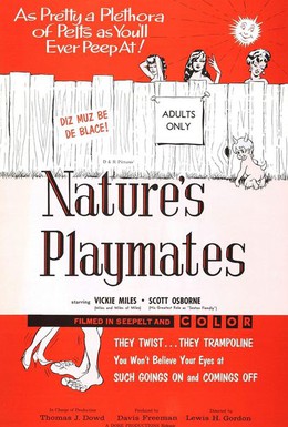 Постер фильма Естественные забавы (1962)