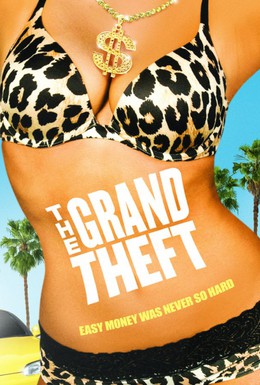 Постер фильма Большая кража (2011)