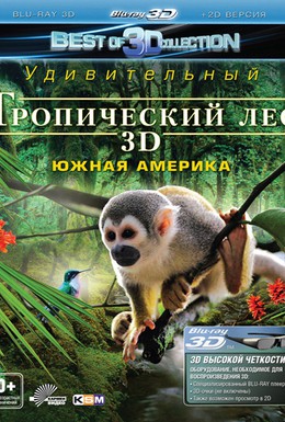 Постер фильма Тропический лес (2012)
