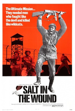 Постер фильма Соль на рану (1969)