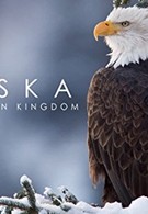Alaska: Earth&apos;s Frozen Kingdom (2015)
