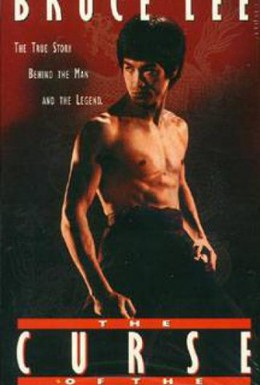 Постер фильма Проклятье дракона (1993)