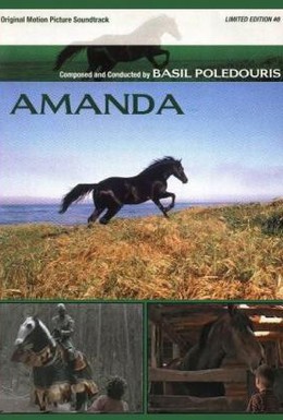Постер фильма Аманда (1996)