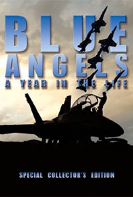 Постер фильма Голубые ангелы: Год из жизни (2005)