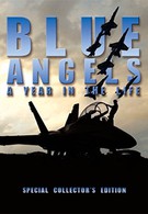 Голубые ангелы: Год из жизни (2005)