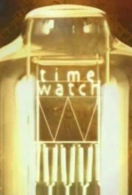 Постер фильма Шкала времени (1982)