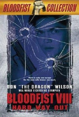 Постер фильма Кровавый кулак 8: Несущий смерть (1996)