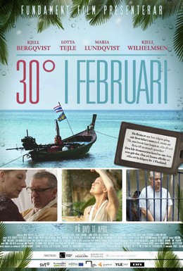 Постер фильма 30 градусов в феврале (2012)