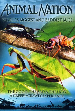 Постер фильма Самые большие и страшные жуки в мире (2009)