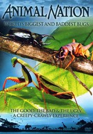 Самые большие и страшные жуки в мире (2009)