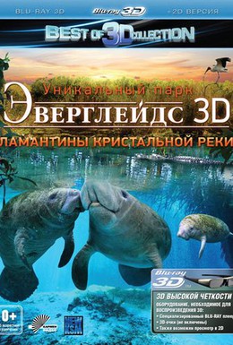 Постер фильма Эверглейдс 3D: Ламантины Кристальной реки (2012)