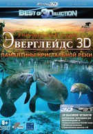 Эверглейдс 3D: Ламантины Кристальной реки (2012)