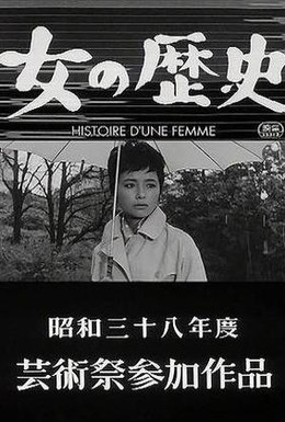 Постер фильма Судьба женщины (1963)