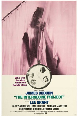 Постер фильма Междоусобный проект (1974)