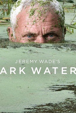 Постер фильма Джереми Уэйд: Темные воды (2019)