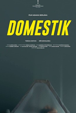 Постер фильма Домашний режим (2018)
