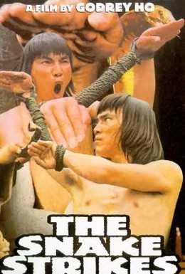 Постер фильма Змея наносит ответный удар (1981)