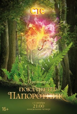 Постер фильма Пока цветет папоротник (2012)