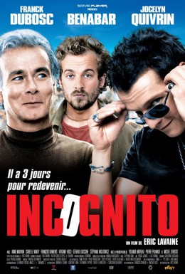 Постер фильма Инкогнито (2009)