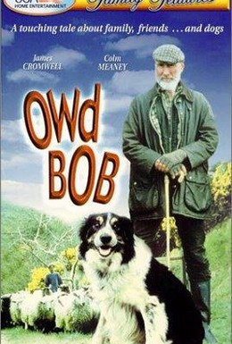 Постер фильма Старина Боб (1998)