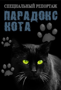 Постер фильма Парадокс кота (2013)