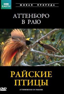 Постер фильма BBC: Райские птицы (1996)