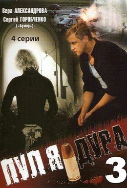 Постер фильма Пуля-дура 3: Агент для наследницы (2009)