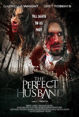 Постер фильма Идеальный муж (2014)