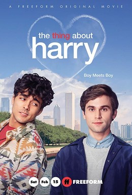 Постер фильма Кое-что о Гарри (2020)