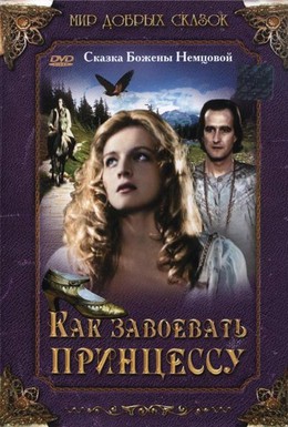 Постер фильма Как завоевать принцессу (1995)