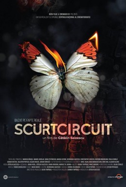 Постер фильма Scurtcircuit (2017)