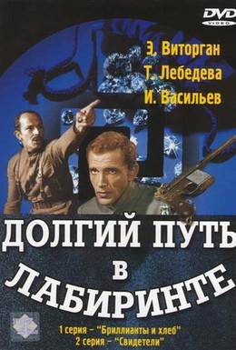 Постер фильма Долгий путь в лабиринте (1981)