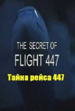 Постер фильма Тайна рейса 447 (2010)