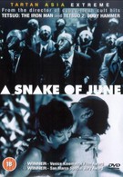 Июньский змей (2002)