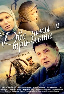 Постер фильма Две зимы и три лета (2014)
