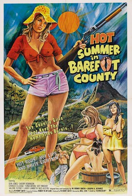 Постер фильма Жаркое лето в округе Бэрфут (1974)